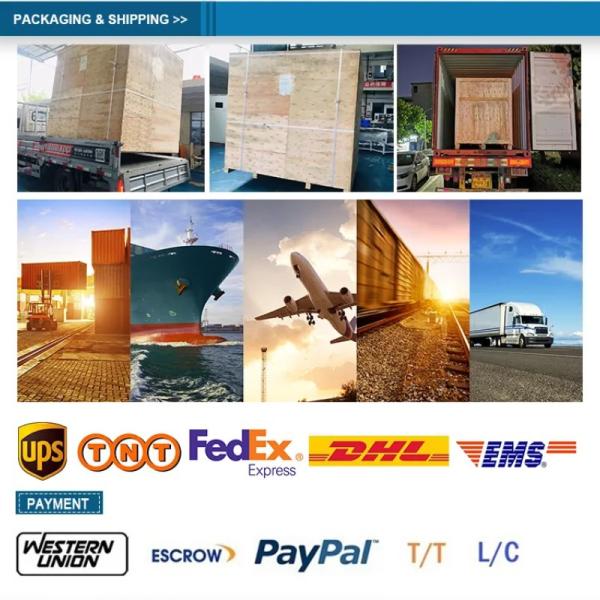 220V / 380V Automatic Tray Former High Speed Hot Melt Glue Tray Formers