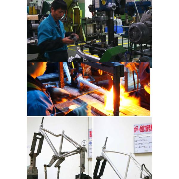 Aluminum Trail Mid Drive Electric Bike Frame Custom Painting Design