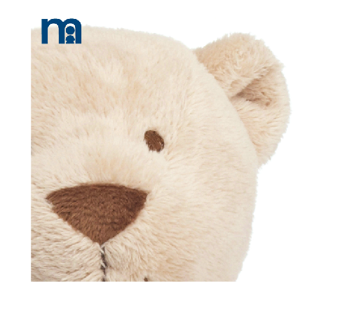Spring and summer Teddy Bear Toy