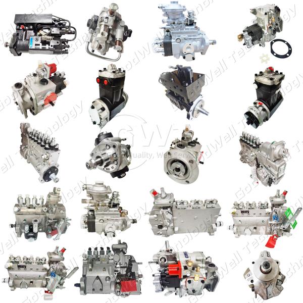 4902732 4954200 Cummins Diesel Injection Pumps Diesel Injector Pump For QSL9 QSC8.3