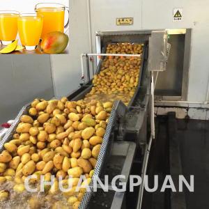 Quality 10000KG Concentrated Mango Pulp Processing Line for Smooth Pulping Performance wholesale