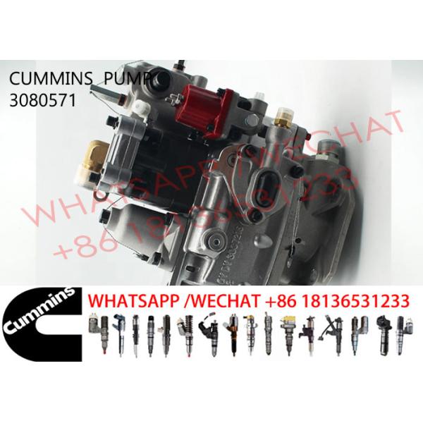 3080571 Cummins KTA19-C600 Diesel Engine Fuel Pump 3655884 4913582 3076130