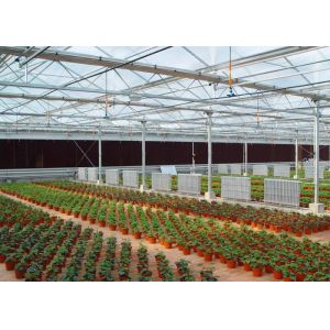 Quality UV Treated Multi Span Woven 200 Micron Reinforced Greenhouse wholesale