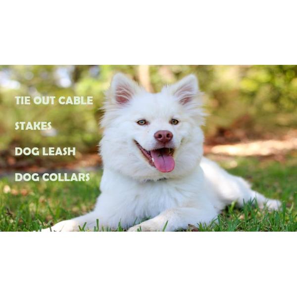 PVC Coated Steel Wire Rope Dog Tie Out Cable