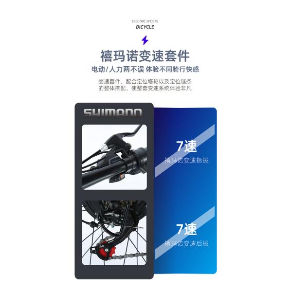 ELECTRIC NEW ELECTRIC BIKE MOUNTAIN BIKE ADULT RETRO OFF-ROAD VARIABLE SPEED BOOSTER ELECTRIC BIKE