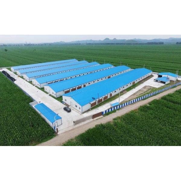 Broiler Poultry Prefab Houses Steel Structure Fully Automated Chicken Farming Equipment