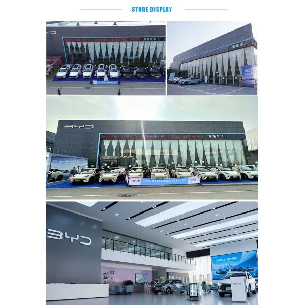 420km BYD Dolphin Electric Hybrid Cars EV Sedans 2025