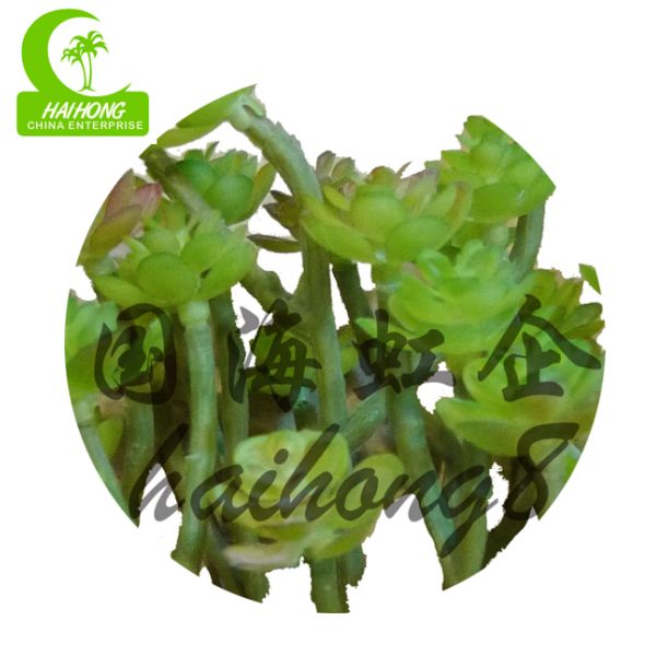 Anti FadingNo Nursing Artificial Succulent Plant , Mini Fake Succulents 15cm