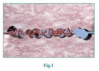 Rotary Atomzier EAC Industrial Lubricant Oil