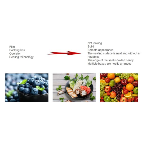 Tray Stainless Steel Food Skin Vacuum Packing Machine Table Top Vacuum Sealer