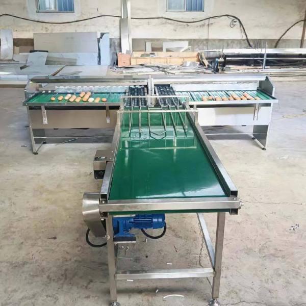 Automatic Egg Sort Grade Weighing And Sorting Egg Machine Egg Grading Process Line Scale Grader Mini Sorter Egg Machine Commercial Egg Sorting Machine