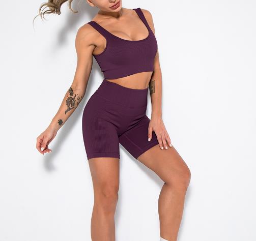 Low Moq Clothing Manufacturer Women 2 Piece Ribbed Seamless Crop Tank High Waist Yoga Sets