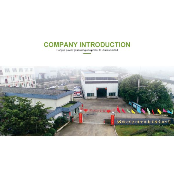 750kw Pelton Micro Hydro Generator 90m Water Head 94% Efficiency