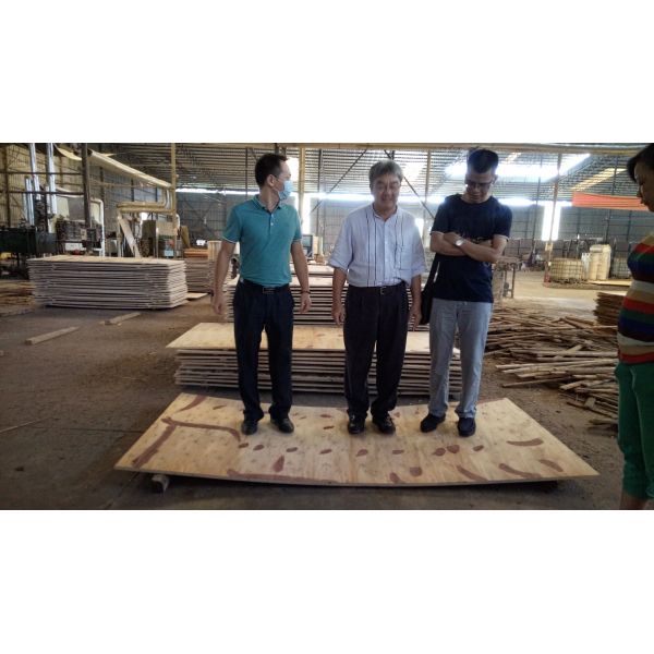 Finger Jointed Core Poplar 20mm Film Faced Plywood