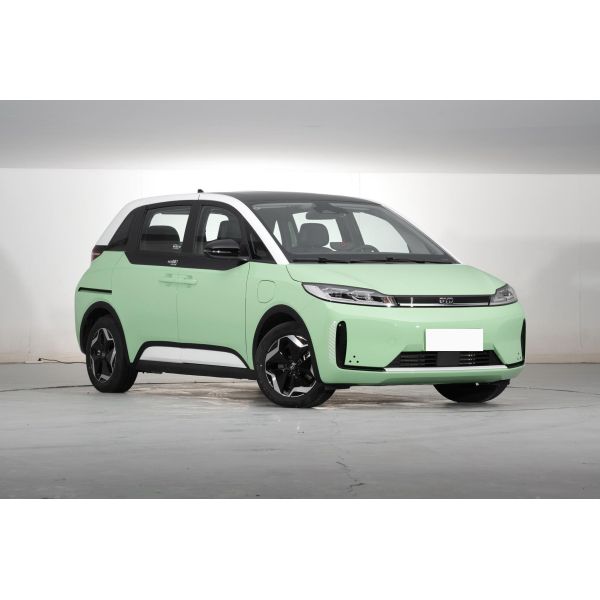 D1 BYD New Energy Vehicles 418KM Durable Electric EV Car MPV Version