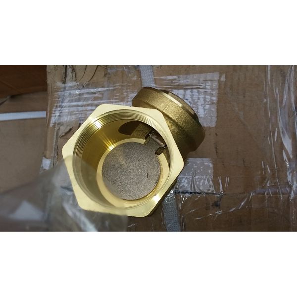 Brass / Bronze Swing Check Valve Thread End BSP / NPT , 1 Inch Non - Return Valve