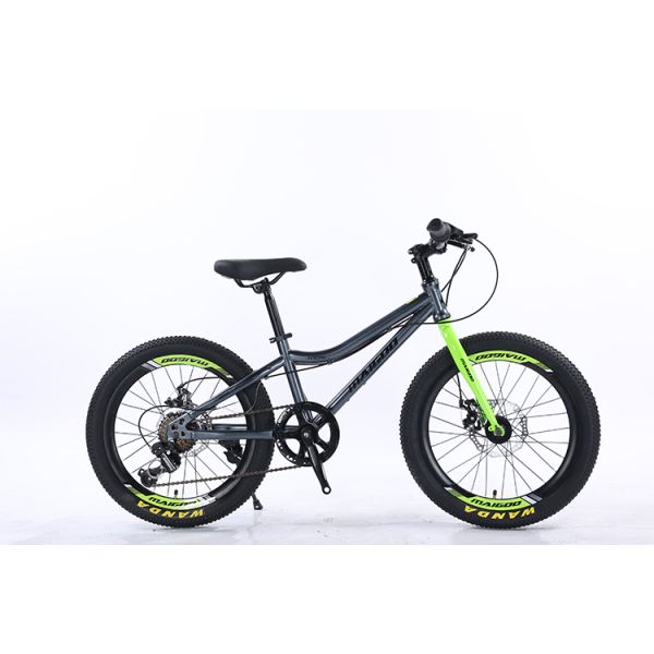 WANDA 20*2.125 Tyre 20" Steel Mountain Bike 7SP Kids' Bike With Safe And Durable Design