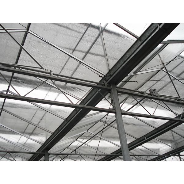 IGREEN Agricultural Venlo Glass Greenhouse to Grow Flowers and Seedlings