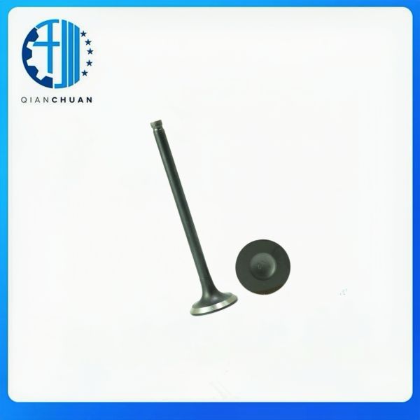 Valve 423016 423017 For Volvo S40 S60 S80 Diesel Engine Spare Parts construction Machinery