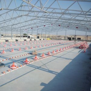 Quality Interlocking Broiler Floor System for Easy Installation High Pressure Cleaning Standard wholesale