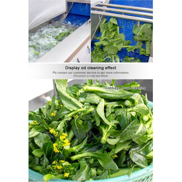 Watercress Bubble Generating Vegetable Fruit Cleaning Machine , Apricot Commercial Vegetable Washer