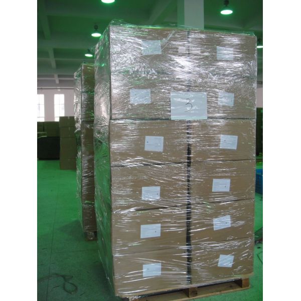 Unisex Plus Size Body Protector Vest for Men's Protection Requirements