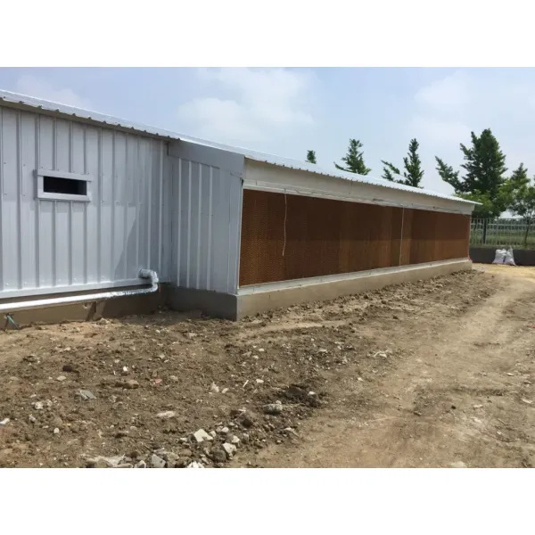 CE Livestock Farm House Steel Structure Chicken House And Equipment For Chicken