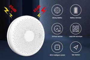 Quality Standalone Smoke Detector Fire Battery Operated High Sensitivity Smoke Alarm And Carbon Monoxide Detector wholesale