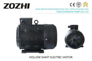 Quality 2 Pole Hollow Shaft Motor Asynchronous Single Phase 0.75HP 400V/60HZ IE 2 Efficiency wholesale