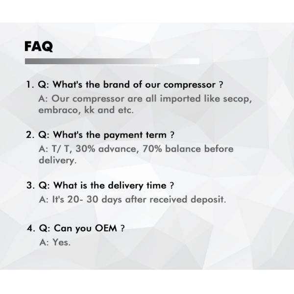 Commercial Stainless Steel  2 Doors Freezer GN Upright Refrigerator Hotel Restaurant Kitchen Chiller Freezer