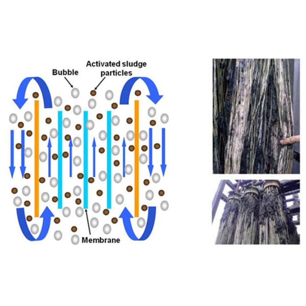 Flat sheet PVDF membrane bio reactor MBR for Waste Water Treatment Plant 20 m3 / day