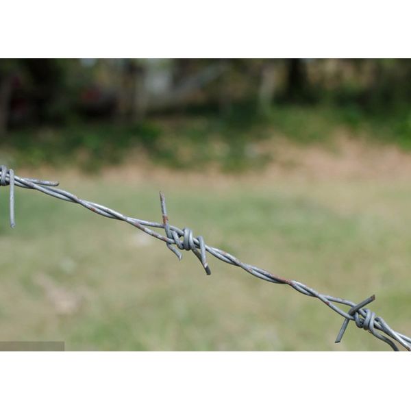 Use Of Prison Walls Anti Climb Single Strand PVC Coated Iron Barbed Wire