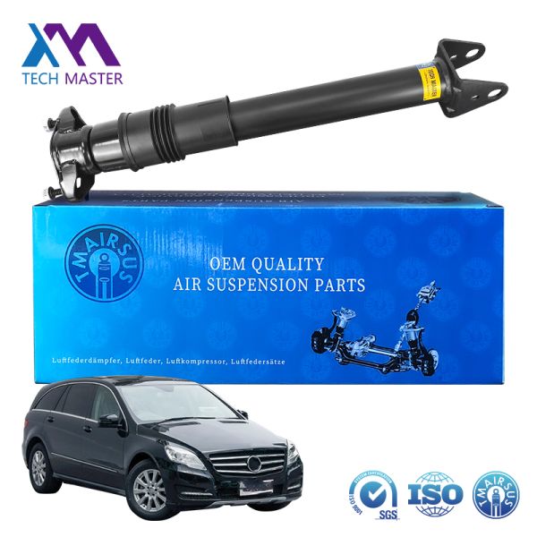 Mercedes Benz W251 R300 Rear Air Suspension Shock Absorber 2513202231 2513200631 2513201931 Selling Mercedes Benz All Car Parts