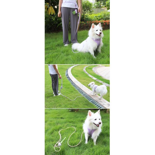 Macaron PVC Slip Lead Dog Leash Hands Free Slip Lead Collar Waterproof