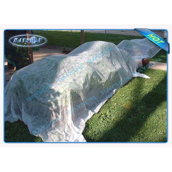 Soft Feeling 100 % PP Spunbond Hydrophilic Non Woven Fabric For Medical Non Woven Fabric