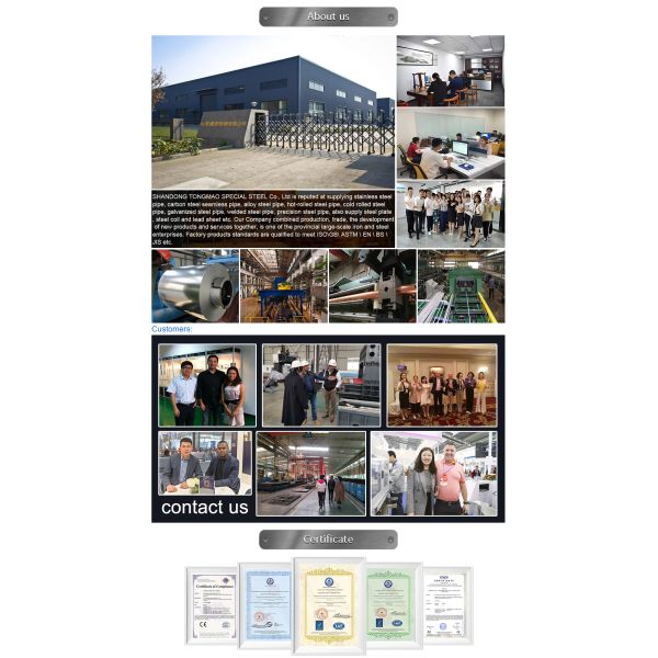 ASTM A53 Seamless Carbon Steel Pipes Hollow Tubes A36 1.0425 Anti Corrosion