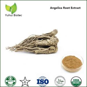China Dong Quai extract, Dong Quai extract powder, Angelica P.E.,Angelica sinensis root extract on sale