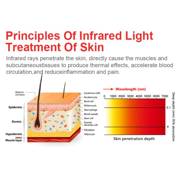 Body Pain Relief LED Near Infrared Red Light Therapy Panel 600W