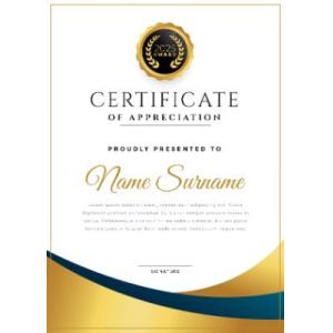 Beijing Global Dowin Technology CO.,LTD Certifications