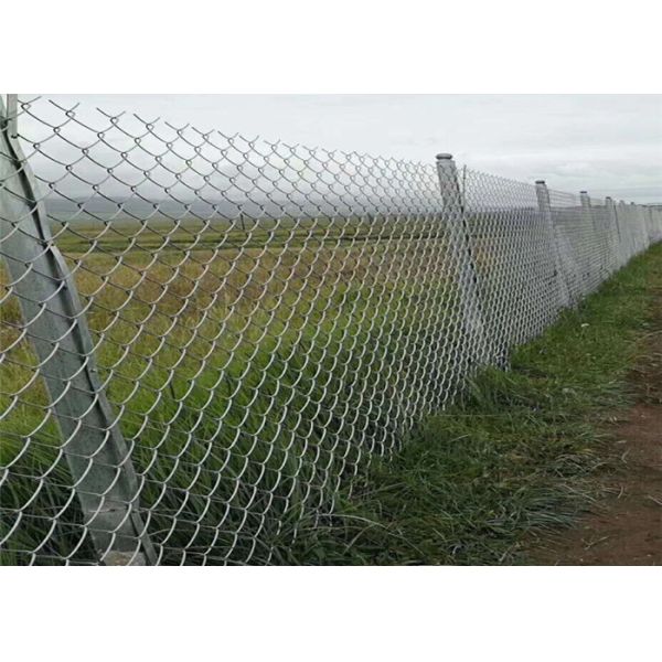 Zinc Coated Cyclone Mesh Fencing 60*60mm Pvc Coated Diamond Mesh