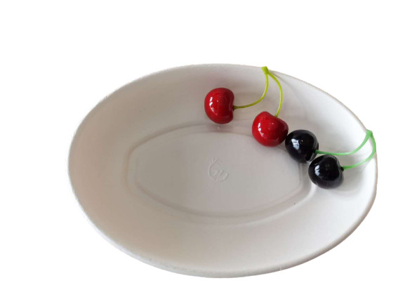 24oz Biodegradable Salad Boxes