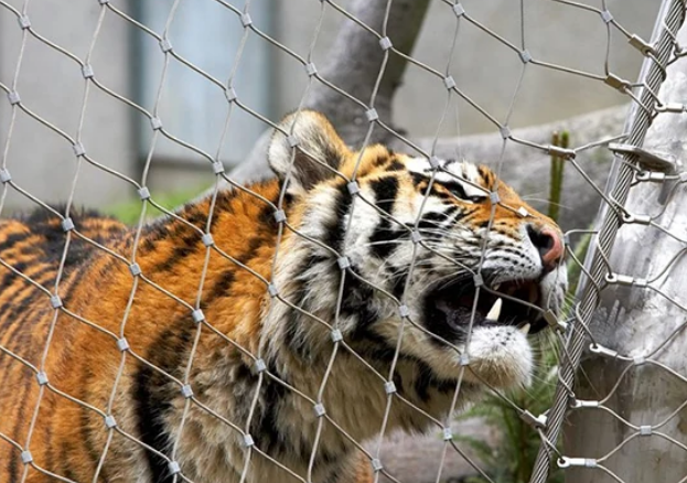 Installed stainless steel rope mesh in architectural application