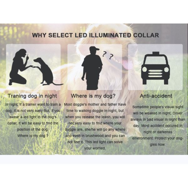 High Visibility LED Dog Leash For Pet Safe And Night Walking Eco Friendly