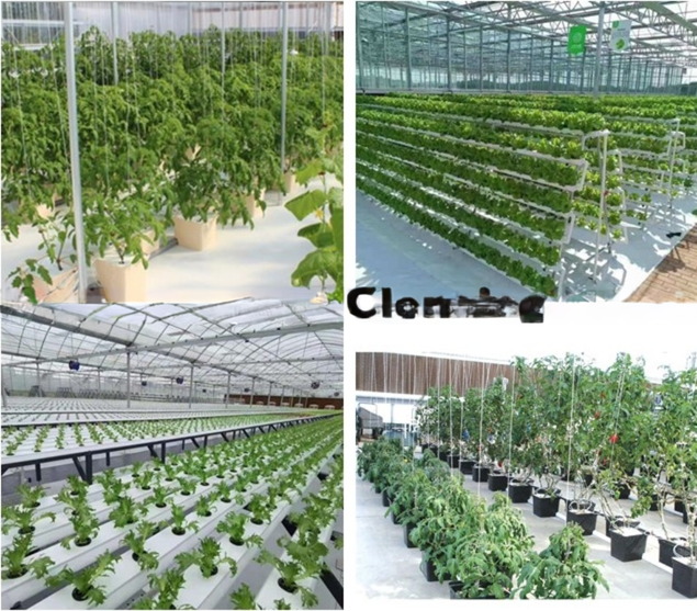 PC Plastic Polycarbonate Sheet Multi Span Hydroponic Greenhouse