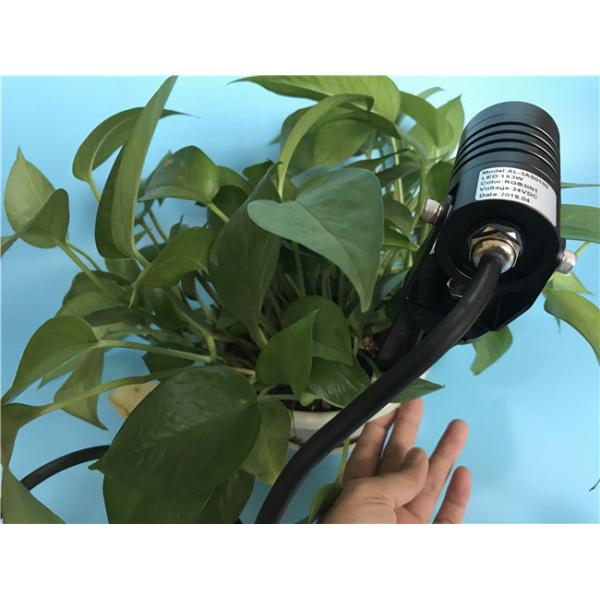 Outdoor Waterproof LED Garden Spotlight With High Power Cree LED DC12 - 24V AC120 - 240V