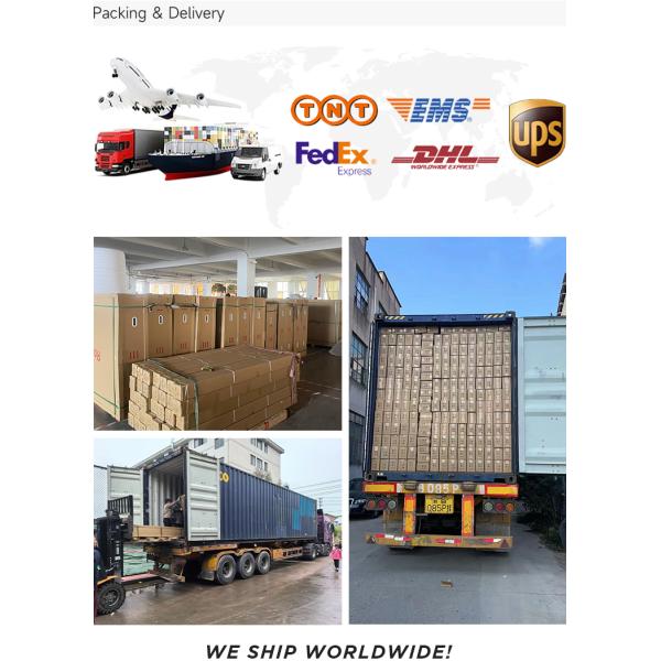 Garden shed installation demonstration