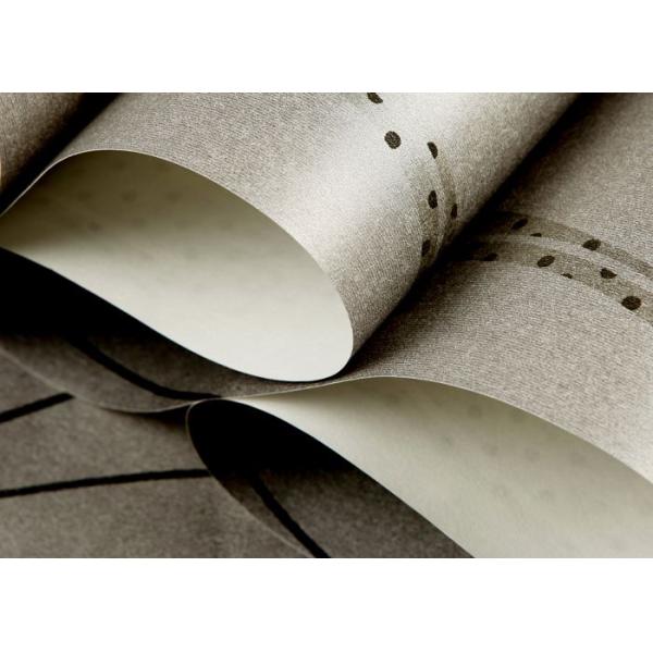 Removable Contemporary Wall Coverings , Modern Nonwoven Striped Wallpaper for Living Room