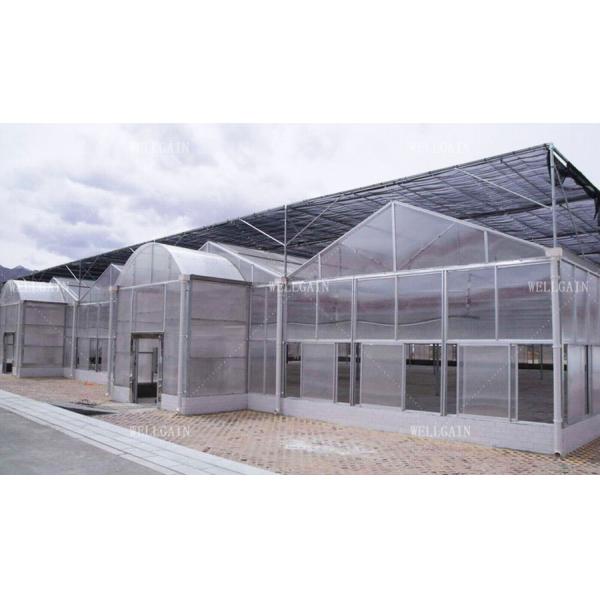 Multi-Span Polycarbonate Greenhouse With Durable Easy Maintenance