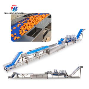 Quality 1500KG/H Orange Selection Fruit And Vegetable Processing Line wholesale