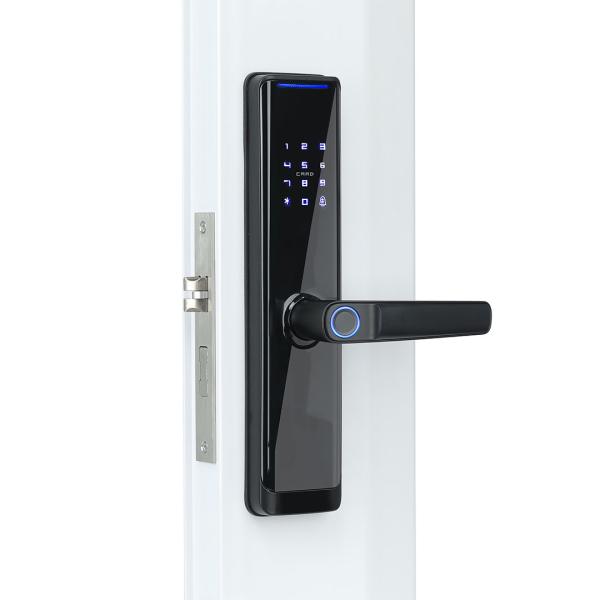 Tuya WiFi Smart Biometric Fingerprint Door Lock For Home 2 Years Warranty
